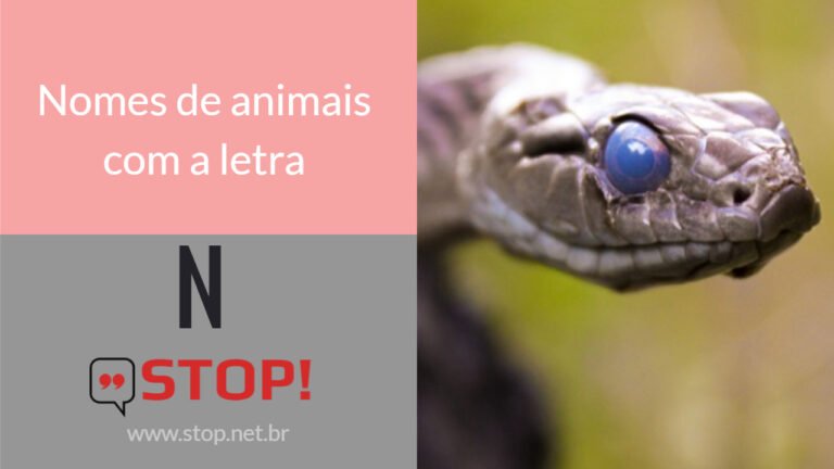 Nomes de Animais com a Letra N: Narval, Naja, Niquim - Jogo Stop!